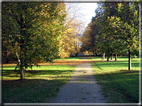 foto Parco Karlsaue in Autunno